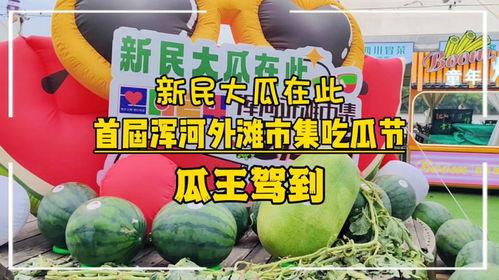 51吃瓜王网,网络舆论风向标背后的故事