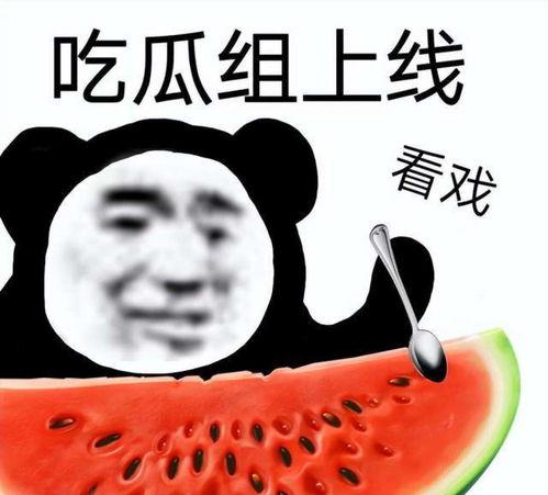 吃瓜娱乐圈被打假